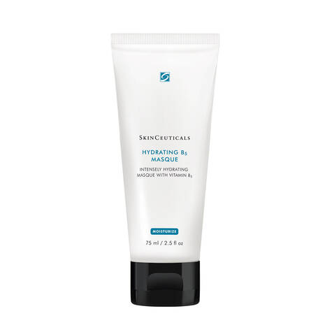 SkinCeuticals Hydrating B5 Masque SkinCeuticals Hydrating B5 Masque